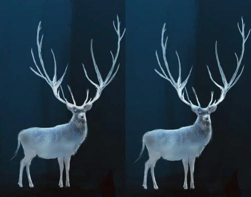 آموزش طراحی گوزن درخشان در فتوشاپ